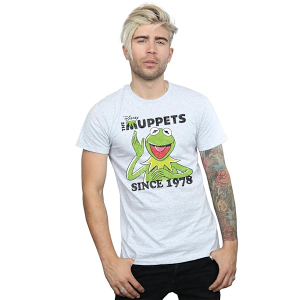 Disney The Muppets Kermit sedan 1978 T-shirt 3XL Heather G Heather Grey 3XL
