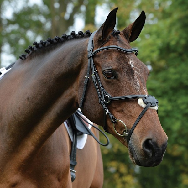 Collegiate Comfitec Grackle Läder Hästgrimma Cob Svart Black Cob