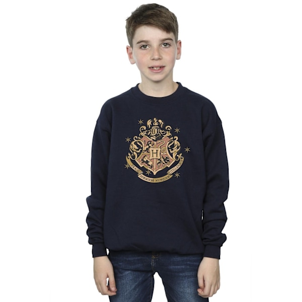 Harry Potter Pojkar Guld Hogwart Crest Sweatshirt 3-4 År Marinblå Navy Blue 3-4 Years