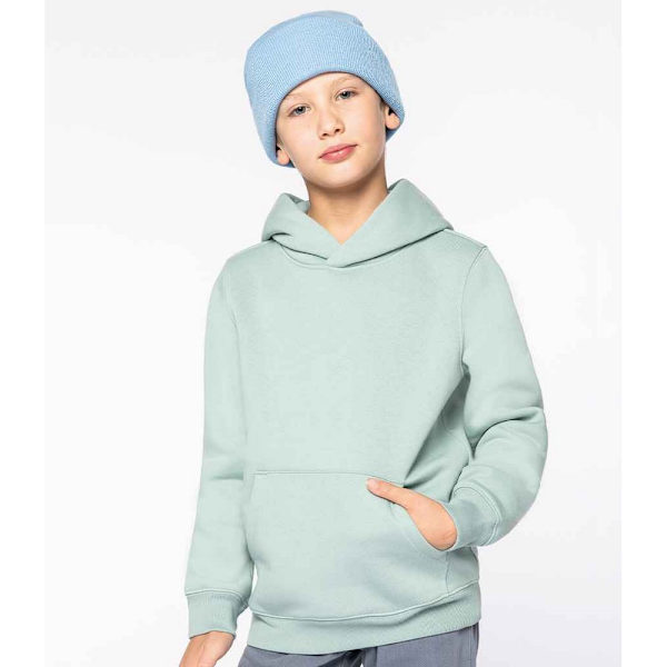 Native Spirit Barn/Kids Hoodie 10-12 År Jadegrön Jade Green 10-12 Years