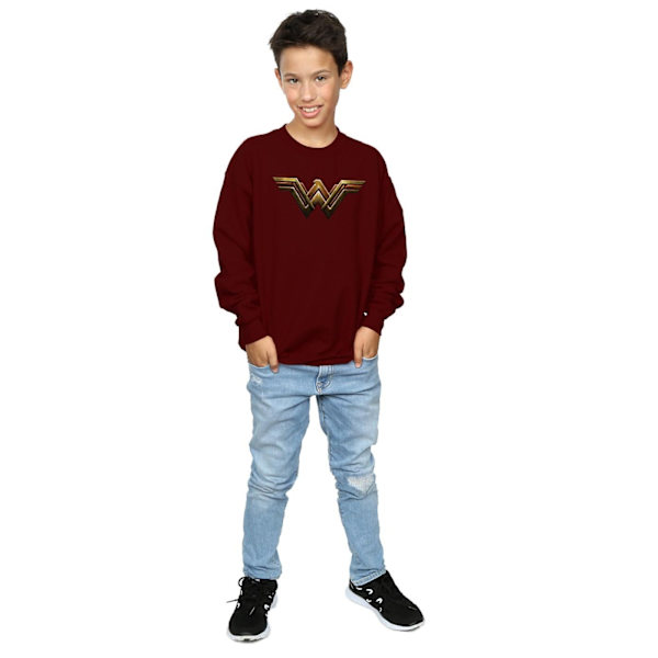 DC Comics Boys Justice League Movie Wonder Woman Emblem Sweatshirt Burgundy 12-13 Years