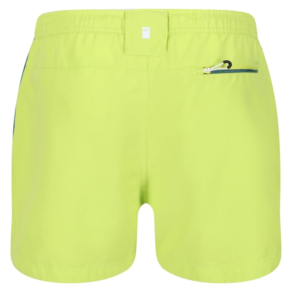 Regatta Rehere Shorts L Bright Kiwi/Pacific Green för män Bright Kiwi/Pacific Green L