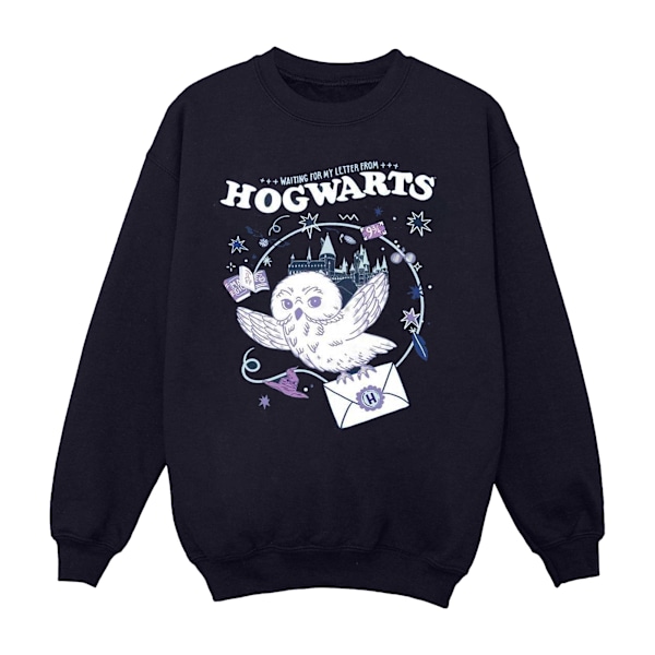 Harry Potter Tjejers Uggla Brev Från Hogwarts Sweatshirt 7-8 År Navy Blue 7-8 Years