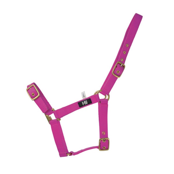 Hy Holly Fullt Justerbart Huvudlag Cob Fuchsia Fuchsia Cob