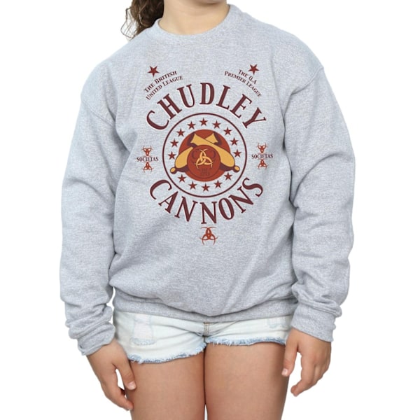 Harry Potter Flickor Chudley Cannons Logotyp Sweatshirt 9-11 År S Sports Grey 9-11 Years