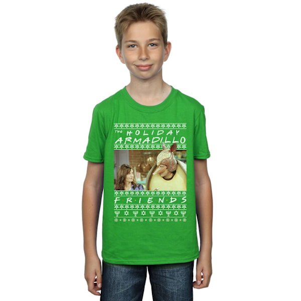 Friends Boys Fair Isle Holiday Armadillo T-Shirt 7-8 år Iris Irish Green 7-8 Years