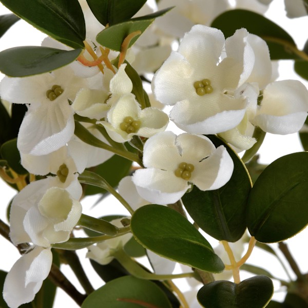 Hill Interiors Konstgjord vår apelsinblomma En storlek Vit White One Size