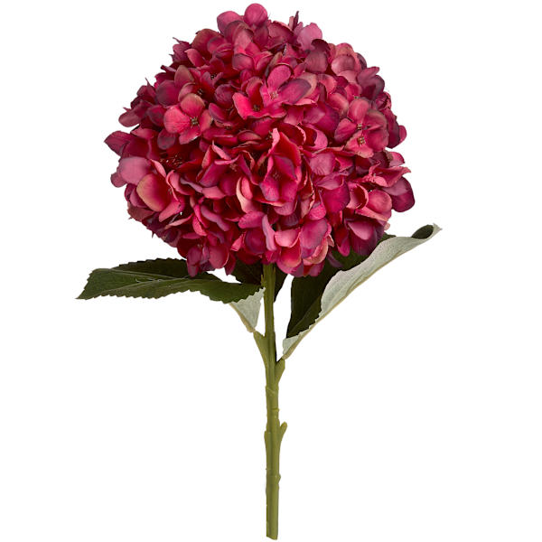 Hill Interiors Konstgjord Höst Hortensia Storlek One Size Ruby Ruby One Size