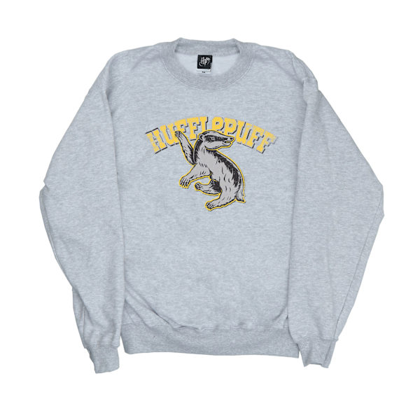Harry Potter Hufflepuff Sweatshirt L Sports Grey för män Sports Grey L