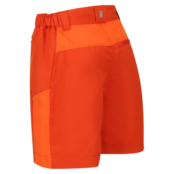 Regatta Childrens/Kids Sorcer Mountain III Shorts 11-12 år R Rusty Orange/Blaze Orange 11-12 Years