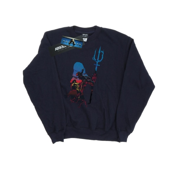 DC Comics Herr Aquaman Battle Silhouette Sweatshirt L Marinblå Navy Blue L