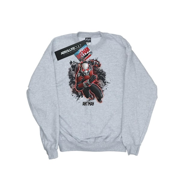 Marvel Dam/Kvinnor Ant-Man Myror Löpartröja S Heather Heather Grey S