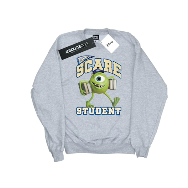 Disney Herr Monsters University Scare Student Sweatshirt XL Spo Sports Grey XL