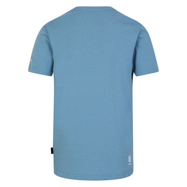 Dare 2B Barn/Kids Trailblazer II Hjärtat T-shirt 11-12 År Niagara Blue 11-12 Years