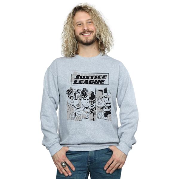 DC Comics Herr Justice League Stripes Sweatshirt 3XL Sports Grå Sports Grey 3XL
