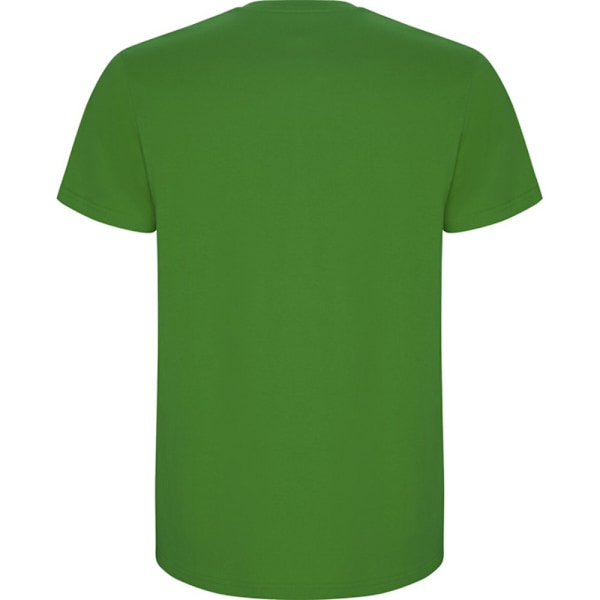 Roly Barn/Barn Stafford Kortärmad T-shirt 7-8 År Gräsgrön Grass Green 7-8 Years