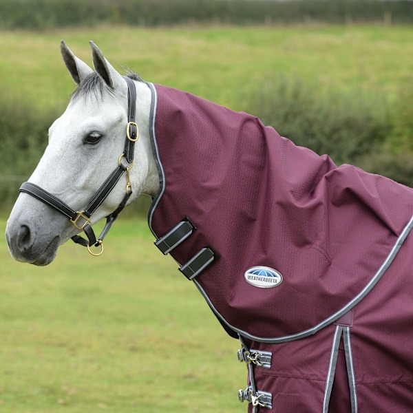 Weatherbeeta Comfitec Plus Dynamic II Lite Hästtäcke Hals C Maroon/Grey/White L
