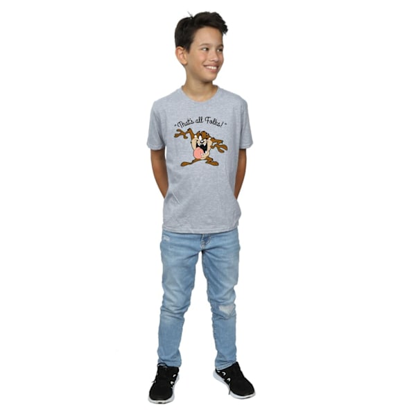 Looney Tunes Boys Taz That´s All Folks T-Shirt 5-6 År Sport Sports Grey 5-6 Years