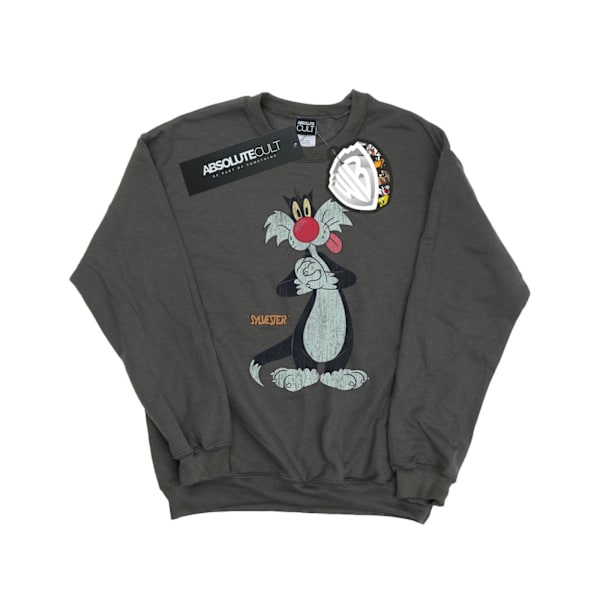 Looney Tunes Herr Sylvester Distressed Sweatshirt M Charcoal Charcoal M