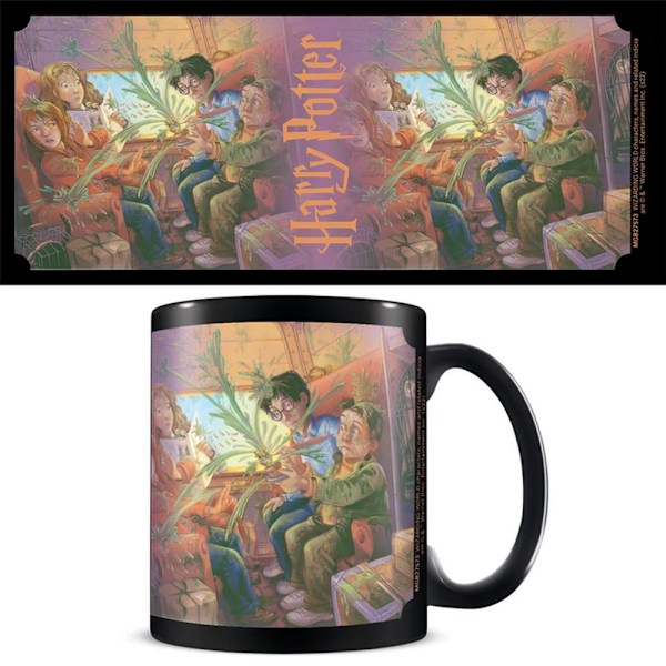Harry Potter Tåg Mugg One Size Svart/Grön/Orange Black/Green/Orange One Size