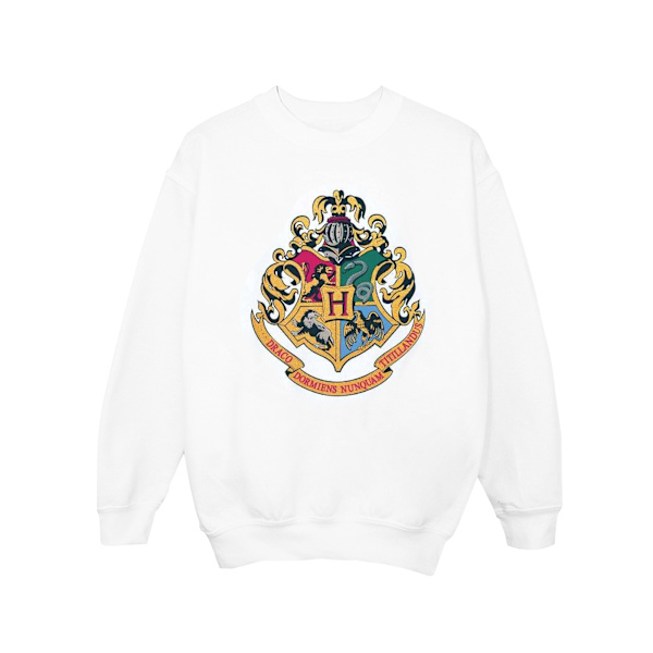 Harry Potter Pojkar Hogwarts Crest Guld Bläck Sweatshirt 12-13 År White 12-13 Years