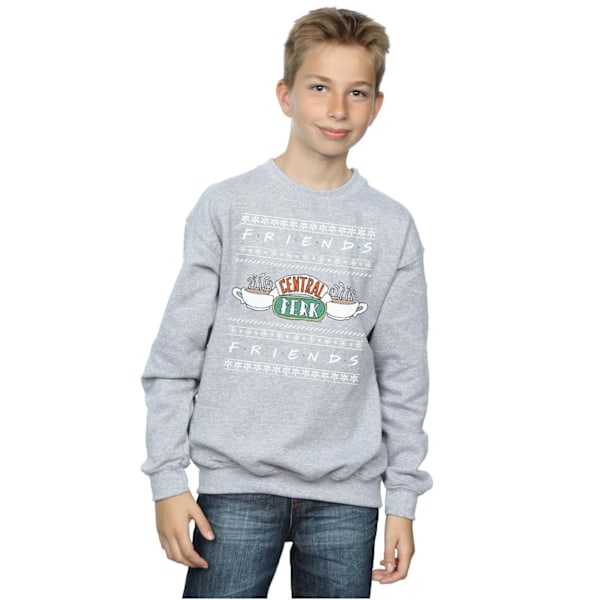 Friends Boys Fair Isle Central Perk Sweatshirt 7-8 år Sport Sports Grey 7-8 Years