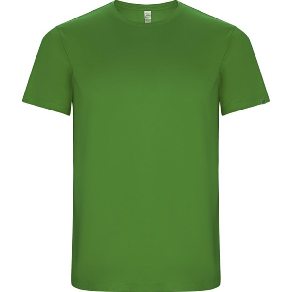 Roly Barn/Barn Imola Kortärmad Sport T-shirt 4 År Fern Green 4 Years