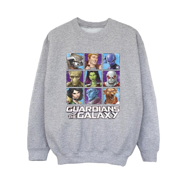 Guardians Of The Galaxy Pojkar Karaktär Rutor Sweatshirt 3-4 År Sports Grey 3-4 Years