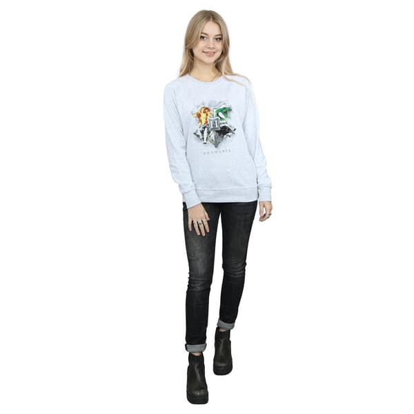 Harry Potter Dam/Kvinnor Hogwarts Målad Crest Sweatshirt S Heather Grey S