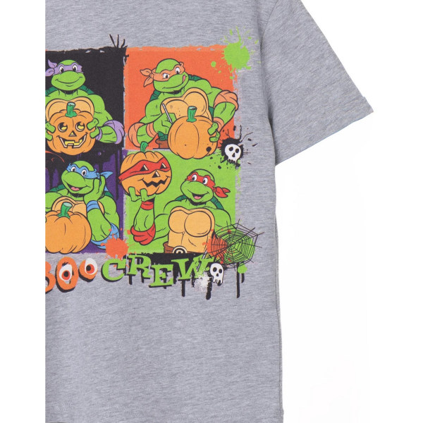 Teenage Mutant Ninja Turtles Childrens/Kids Boo Crew Marl T-Shi Grey 7-8 Years