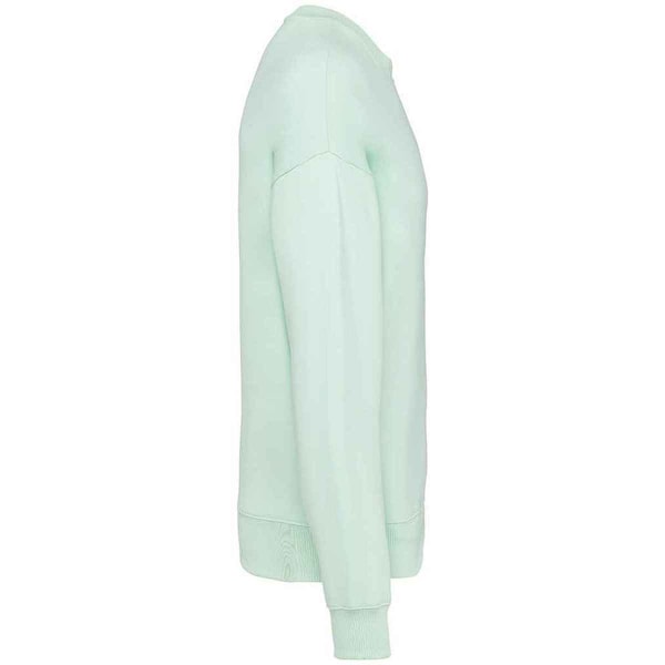 Native Spirit Dam/Dam Oversized Sweatshirt 3XL Brook Gree Brook Green 3XL