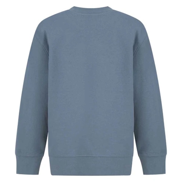 SF Minni Barn/Barn Curved Hem Sweatshirt 7-8 År Stone B Stone Blue 7-8 Years