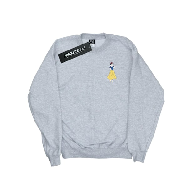 Disney Princess Herr Snow White Brösttröja 3XL Sports Grå Sports Grey 3XL