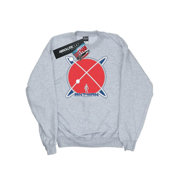 Marvel Dam/Kvinnor Ant-Man Planet Logo Sweatshirt S Heather G Heather Grey S
