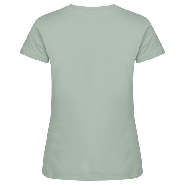 Clique Dam/Dam Basic T-shirt M Salviagrön Sage Green M