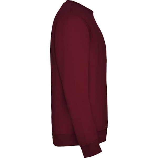 Roly Barn/Barn Clasica Crew Neck Sweatshirt 11-12 År Ga Garnet 11-12 Years