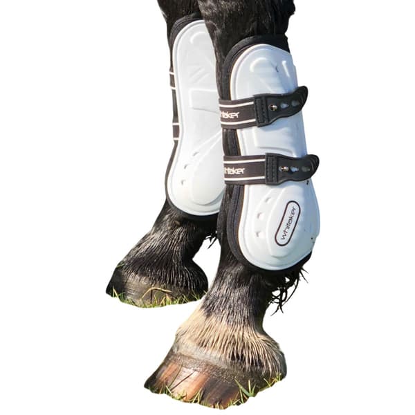 Whitaker Bingley Senskydd för häst (4-pack) Full White White Full