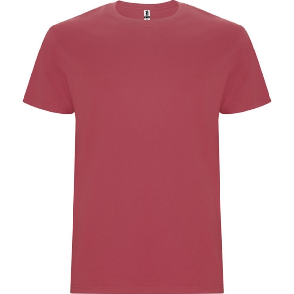 Roly Barn/Barn Stafford Kortärmad T-shirt 5-6 År Krysantemum Röd Chrysanthemum Red 5-6 Years