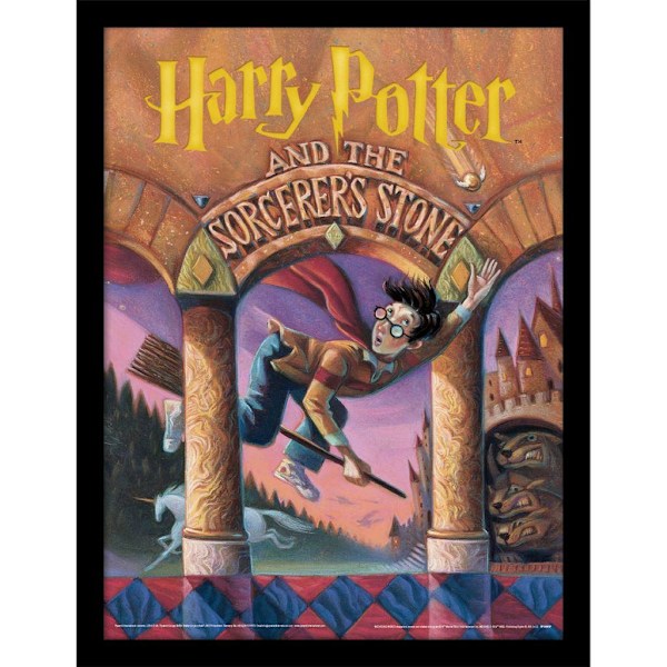Harry Potter och de vises sten - inramad affisch med bokomslag Multicoloured 40cm x 30cm