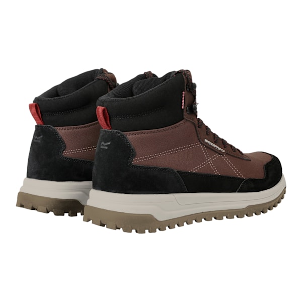 Regatta Mayfield Vandringskängor i Mocka för Män 6.5 UK Kastanjebruna Chestnut Brown 6.5 UK