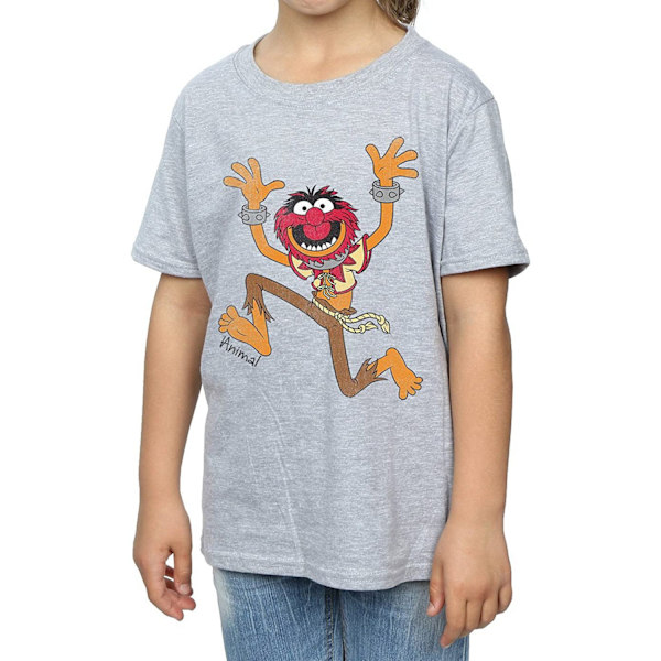 The Muppets Girls Classic Animal T-Shirt 12-13 år Sport Grå Sports Grey 12-13 Years