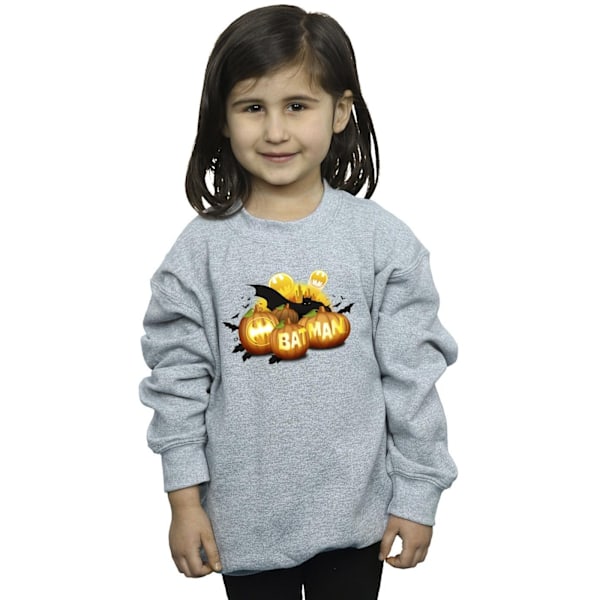 DC Comics Girls Batman Pumpkins Sweatshirt 7-8 år Sports Grey Sports Grey 7-8 Years