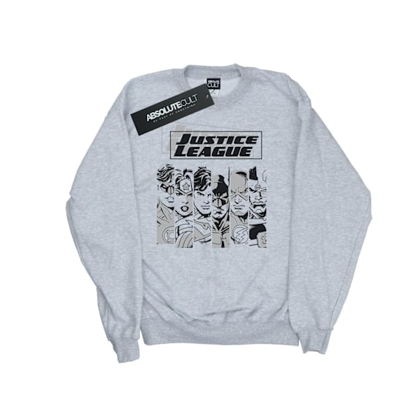 DC Comics Herr Justice League Stripes Sweatshirt 3XL Sports Grå Sports Grey 3XL