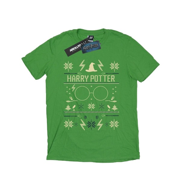 Harry Potter Dam/Damer Julmönster Bomull Boyfriend T-shirt Irish Green L
