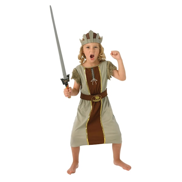 Bristol Novelty Pojkar Vikingdräkt 7-10 År Grå/Brun Grey/Brown 7-10 Years