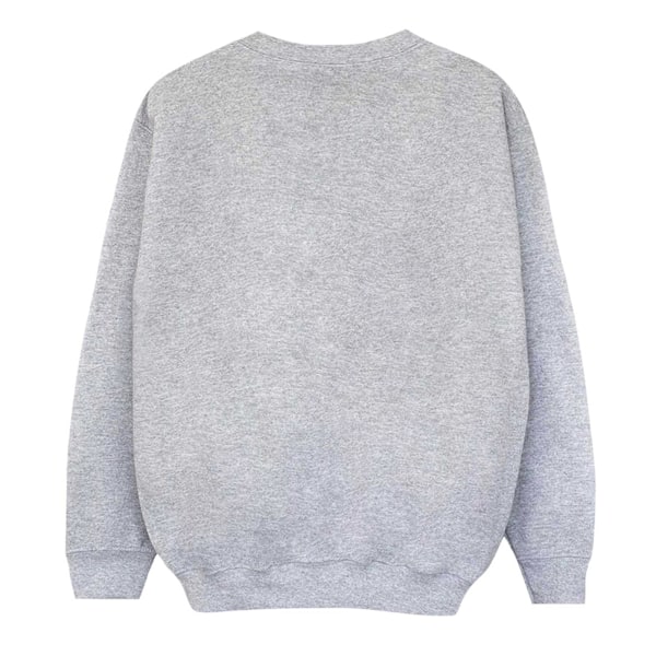 Disney Herr Moana Maui Sweatshirt M Sports Grey Sports Grey M