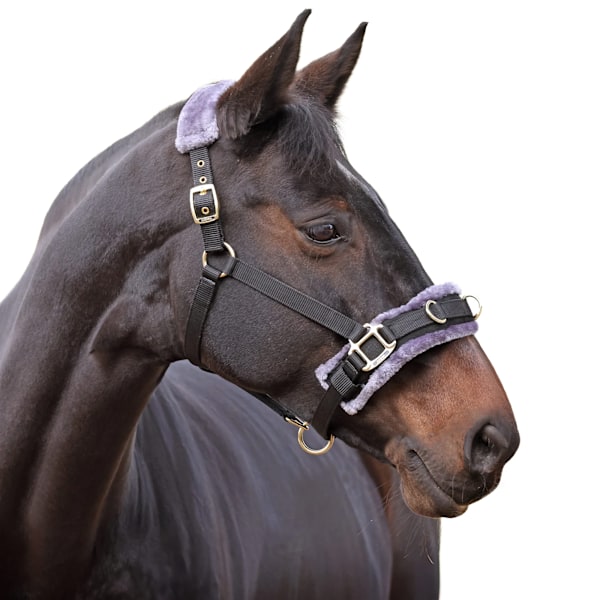 Shires Fleecefodrad Plysch Häst Longeringskapson Cob Svart Black Cob