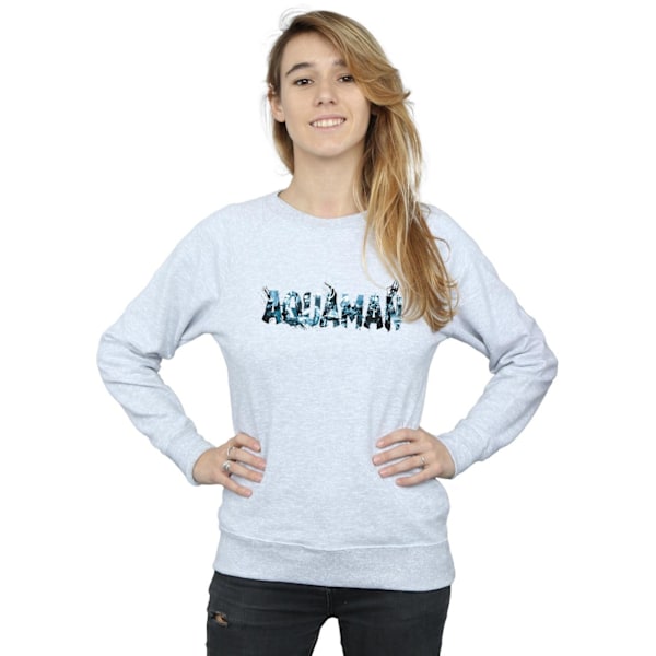 DC Comics Dam/Dam Aquaman Text Logo Sweatshirt M Sports G Sports Grey M