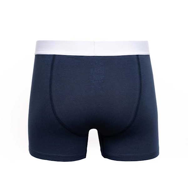 Duck and Cover Mens Galton Boxershorts (2-pack) L Grön/Blå Green/Blue L