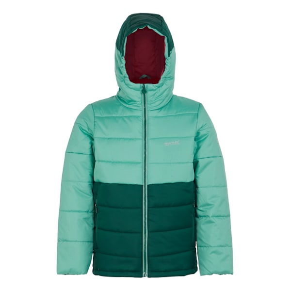 Regatta Barn/Ungdom Lofthouse VIII Isolerad Jacka 14 År Dusty Green/Rainforest 14 Years
